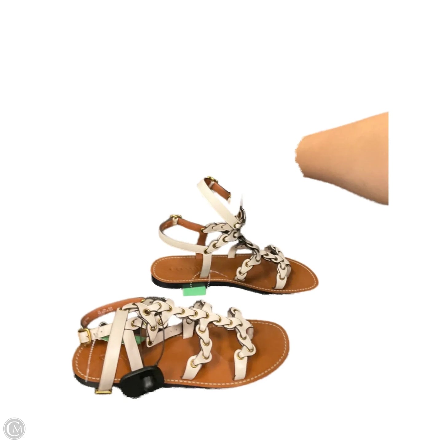 Sandals Designer By Coach In White, Size: 10