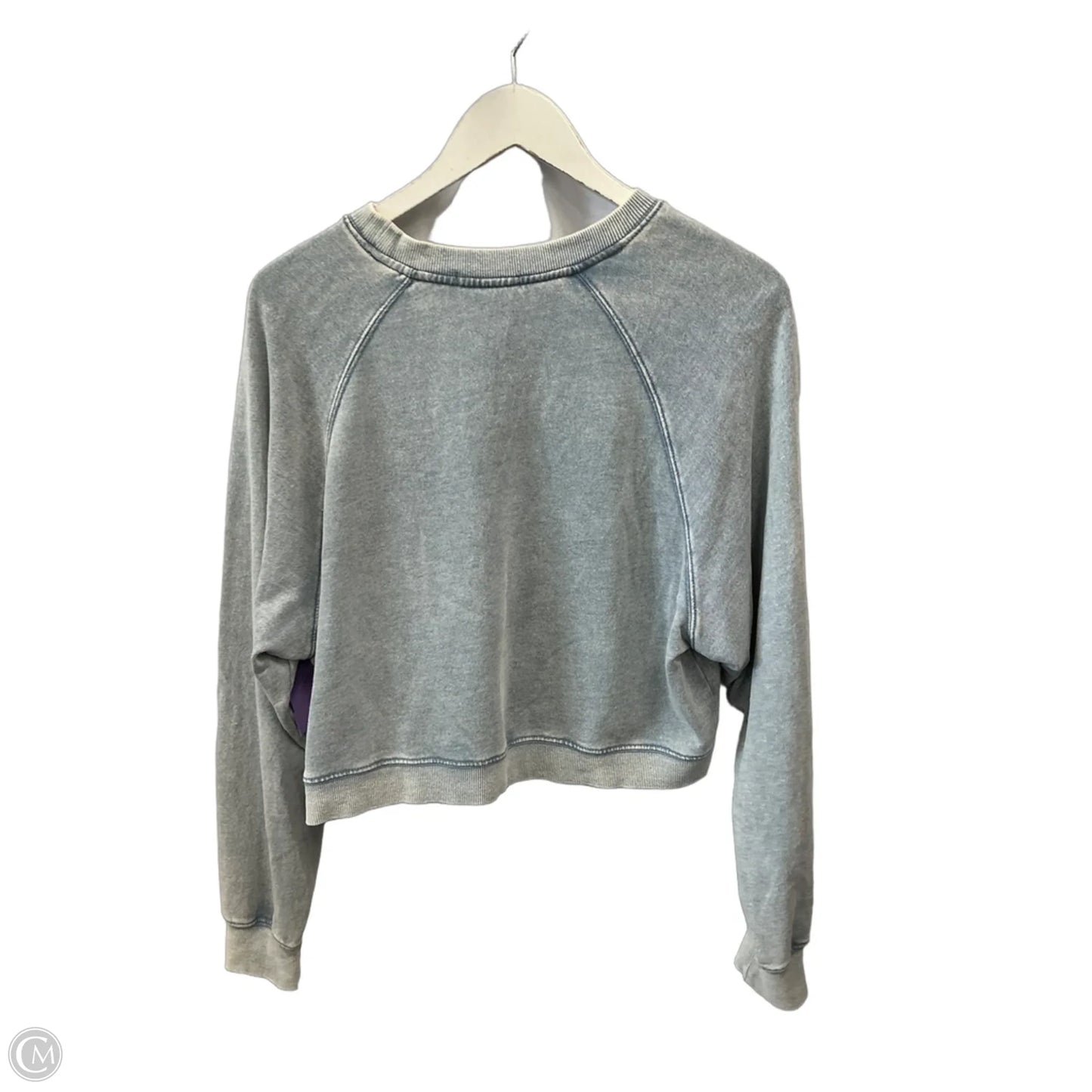 Sweatshirt Crewneck By Z Supply In Blue, Size: S