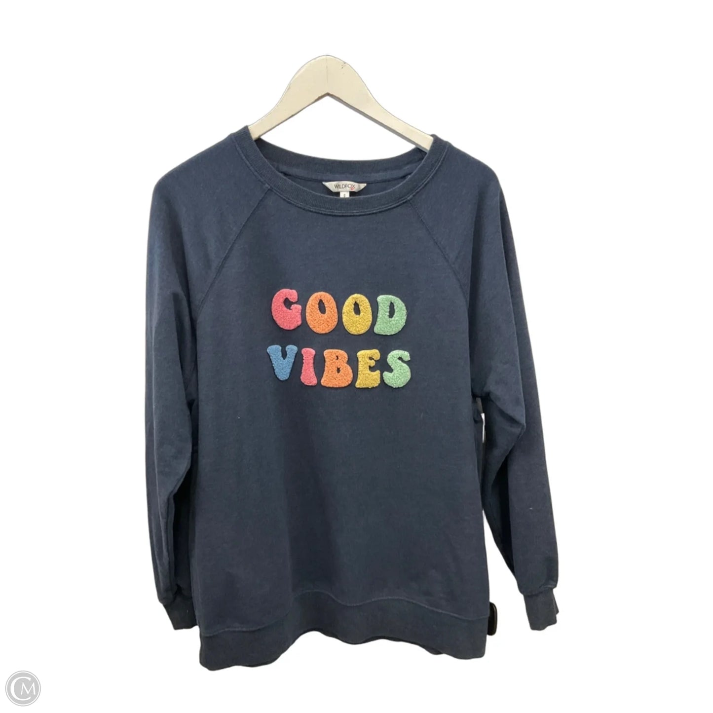 Sweatshirt Crewneck By Wildfox In Blue, Size: S