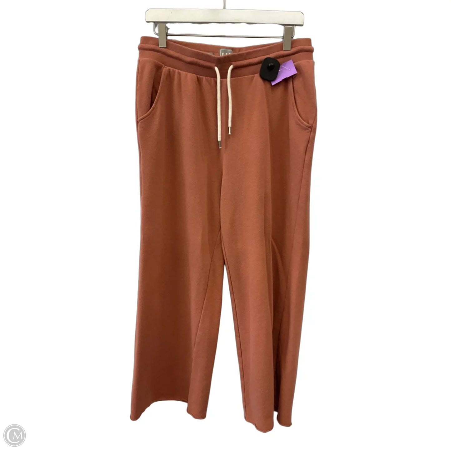 Athletic Pants By Gap In Orange, Size: M