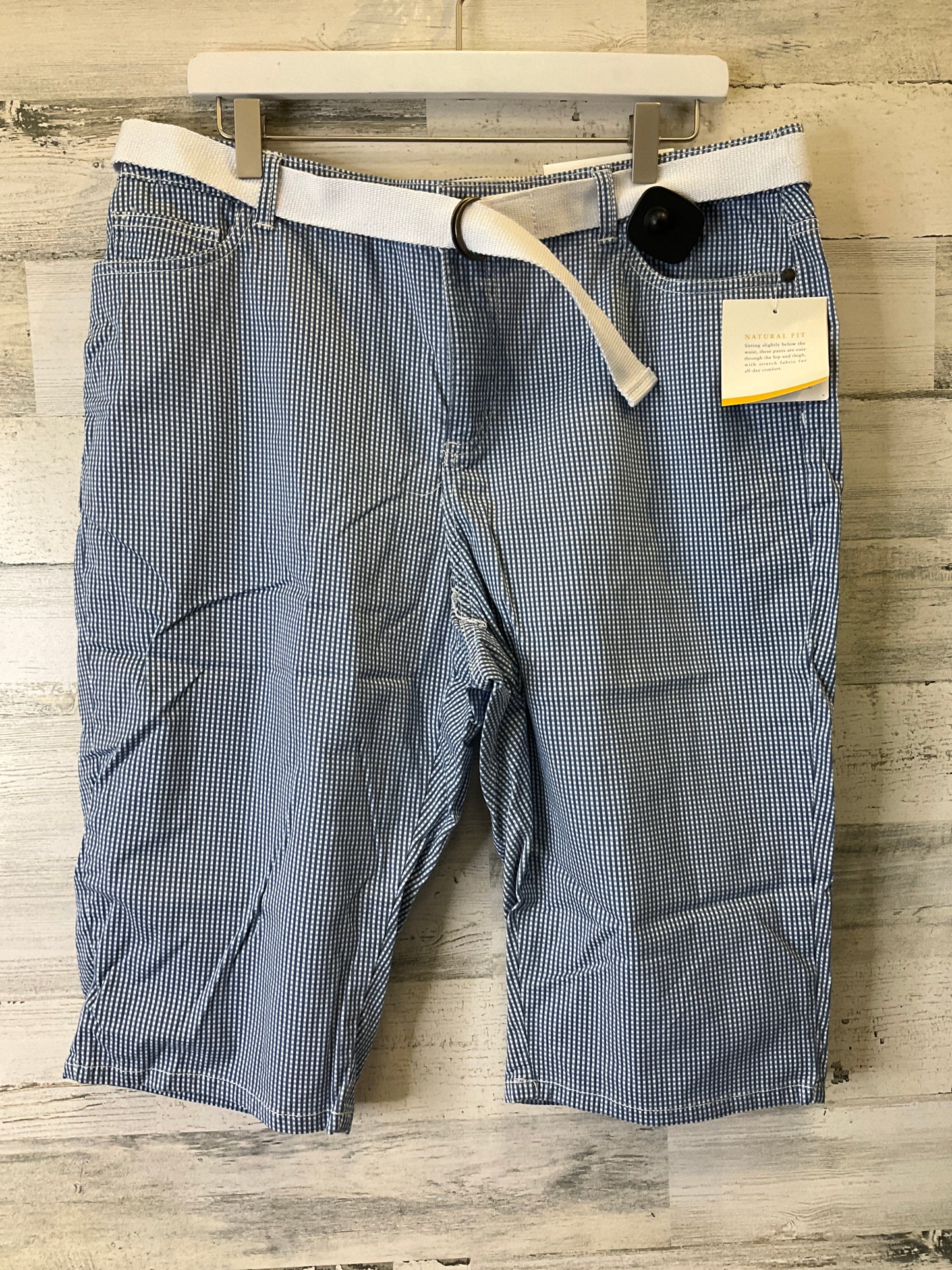 Blue Shorts Croft And Barrow, Size 16