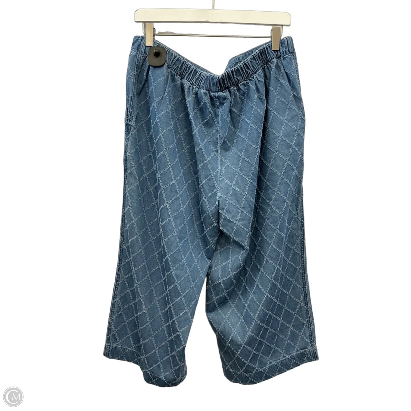 Pants Set 2pc By Clothes Mentor In Blue Denim, Size: 1x