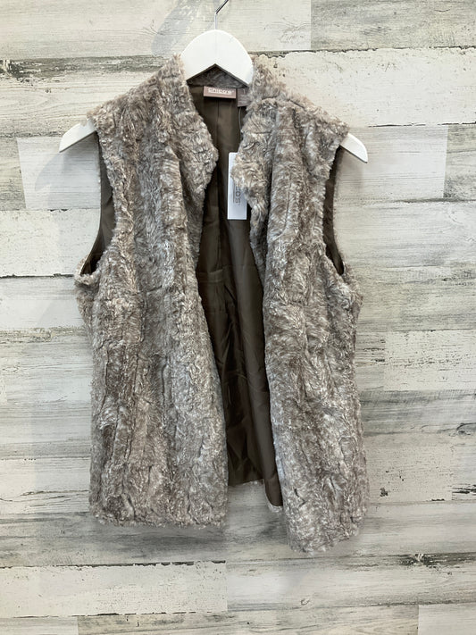 Vest Faux Fur & Sherpa By Chicos In Beige, Size: M