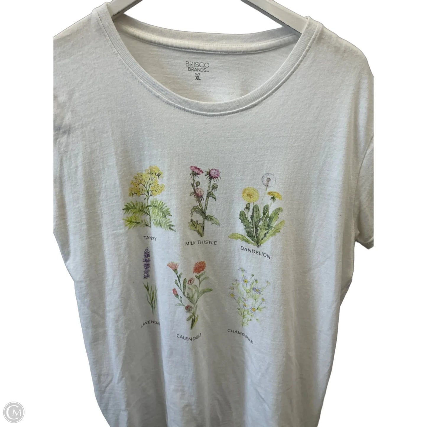 Top Short Sleeve By Clothes Mentor In White, Size: Xl