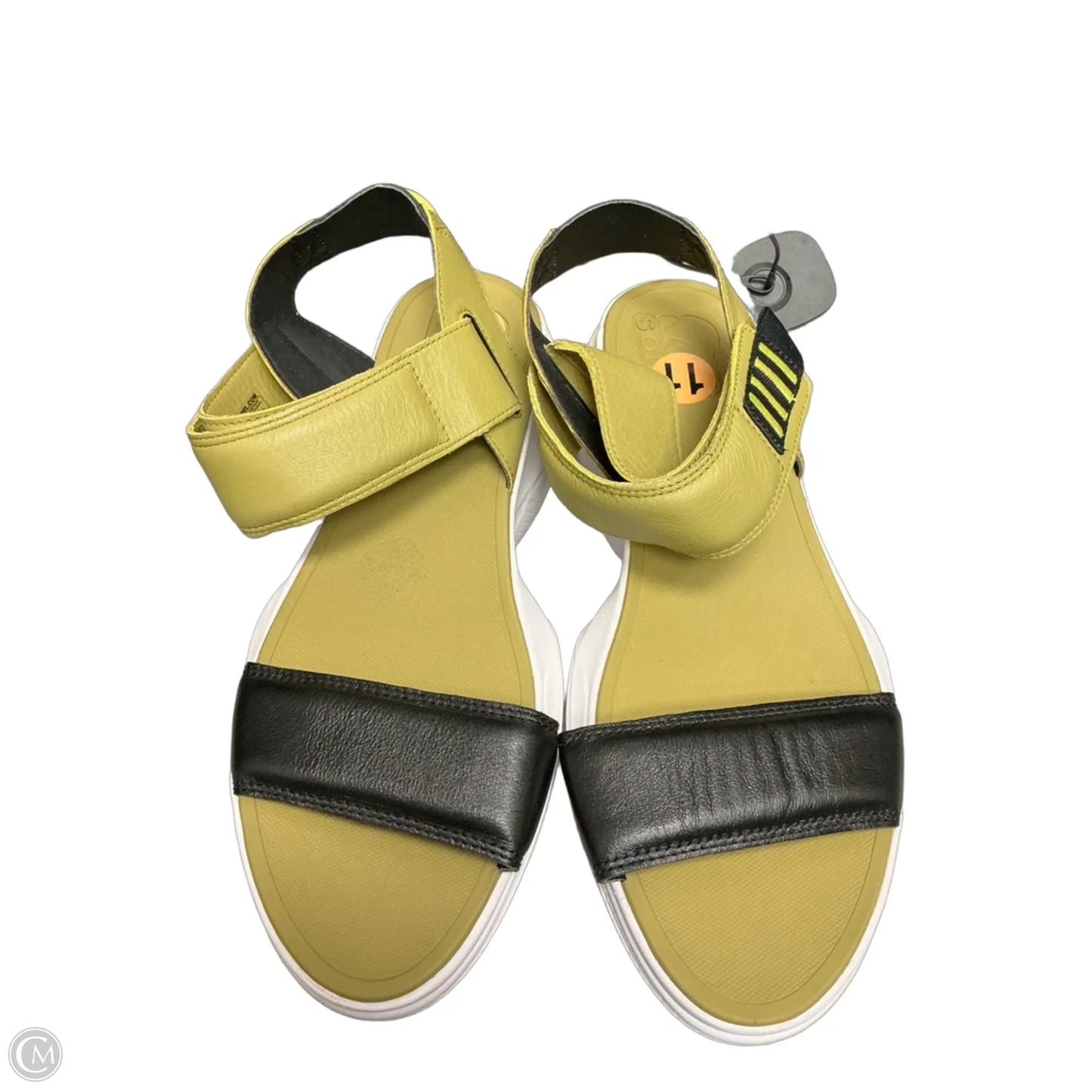 Sandals Sport By Sorel In Green, Size: 11