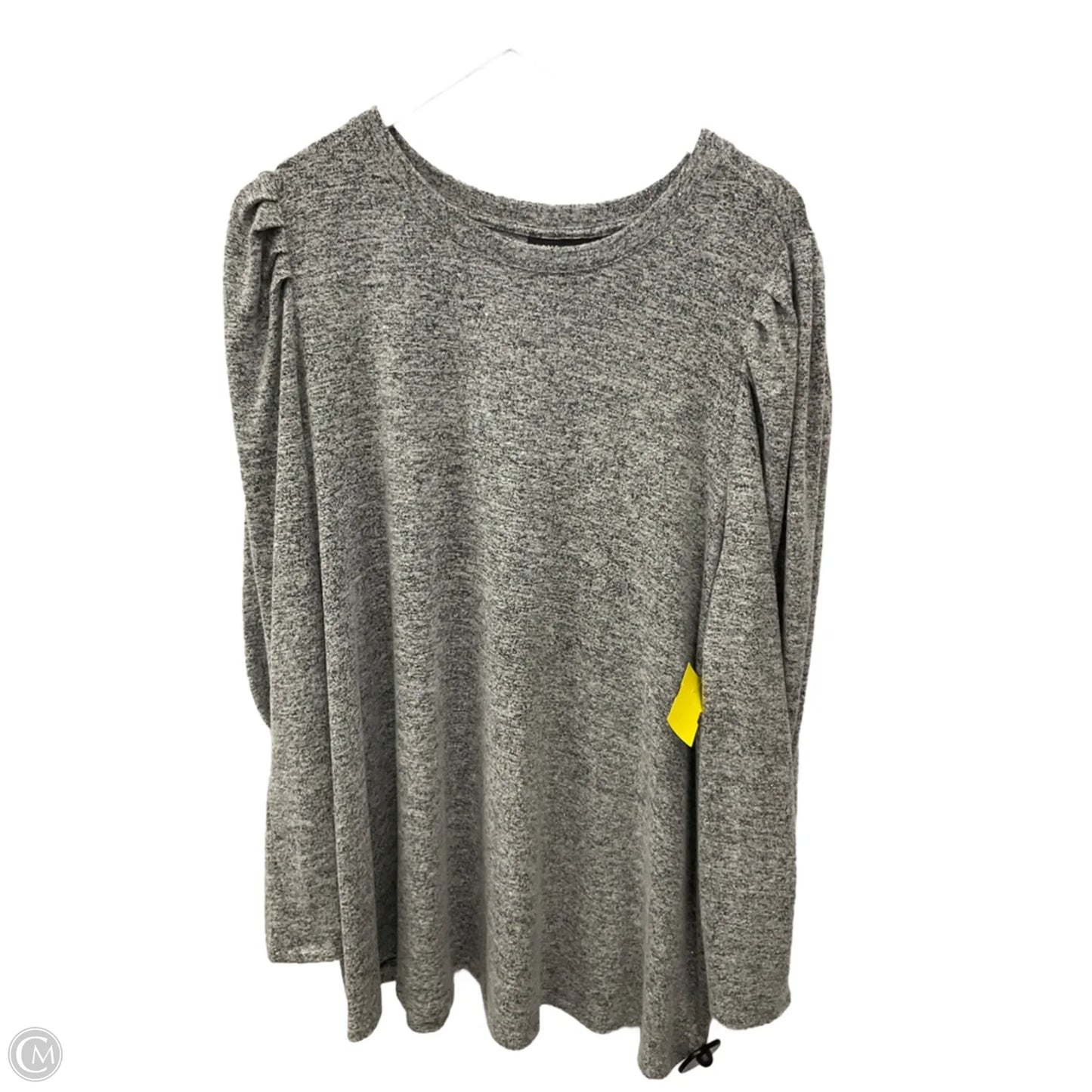 Top Long Sleeve By Lane Bryant In Grey, Size: 3x