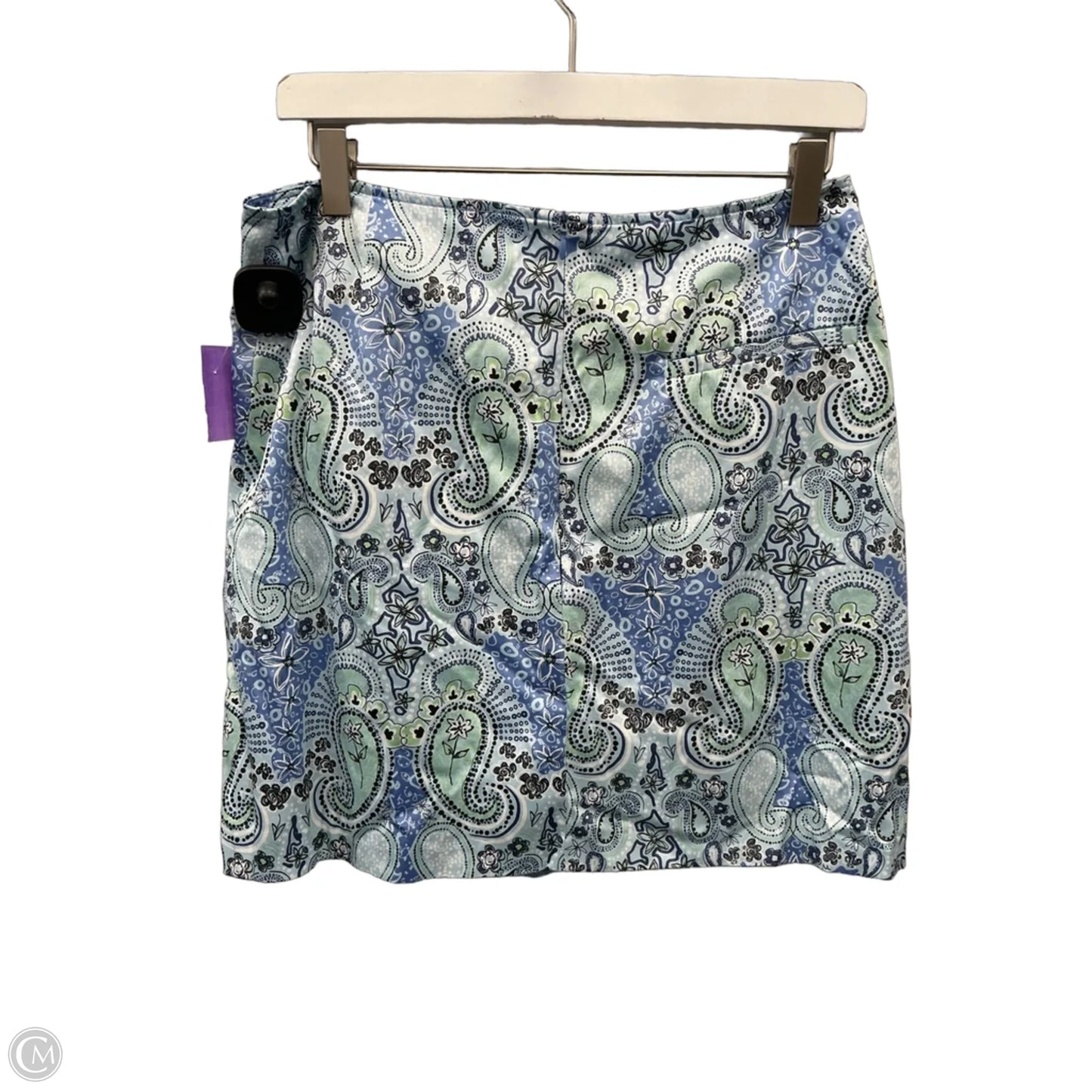 Athletic Skort By Clothes Mentor In Blue, Size: M