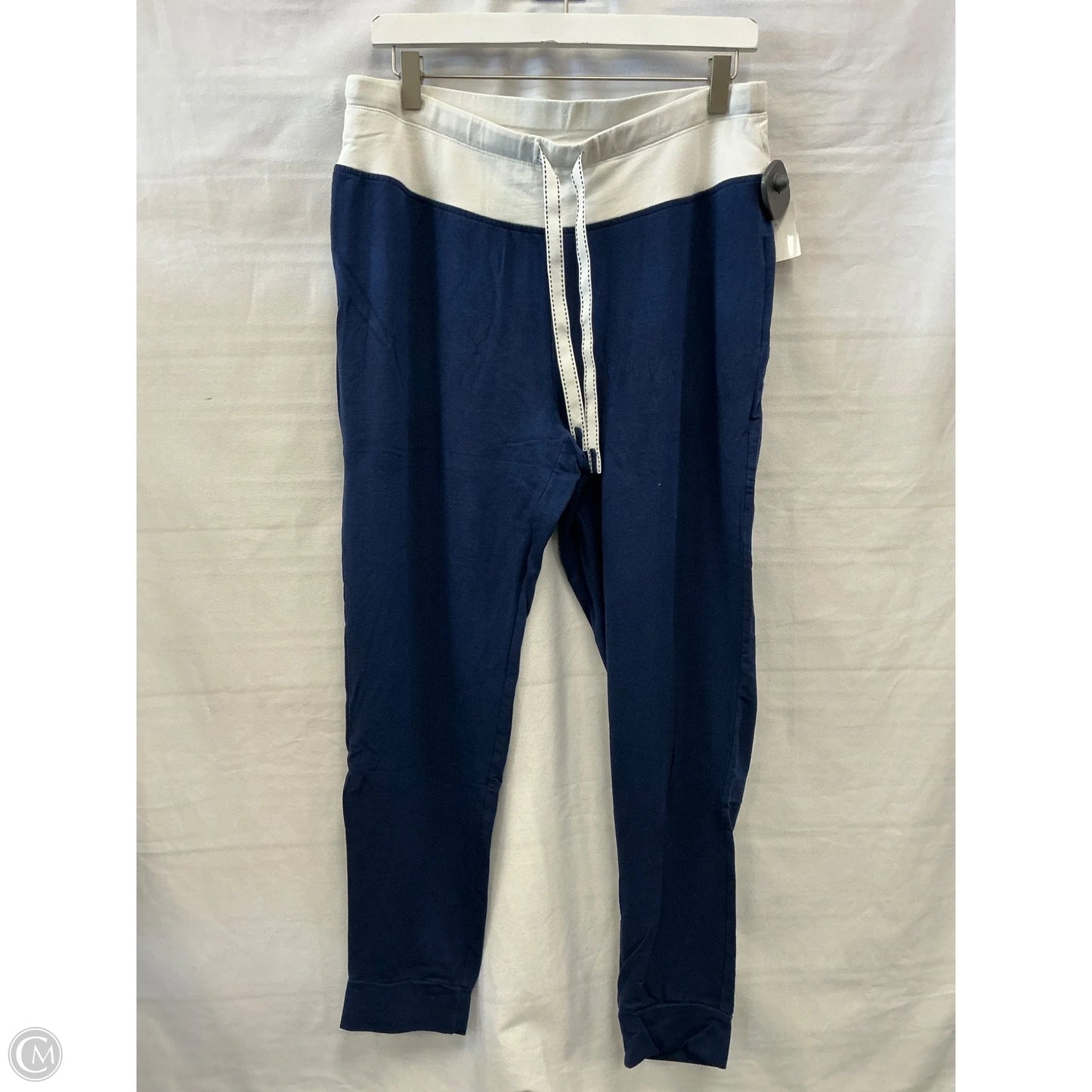 Athletic Pants 2pc By Chicos In Blue, Size: M
