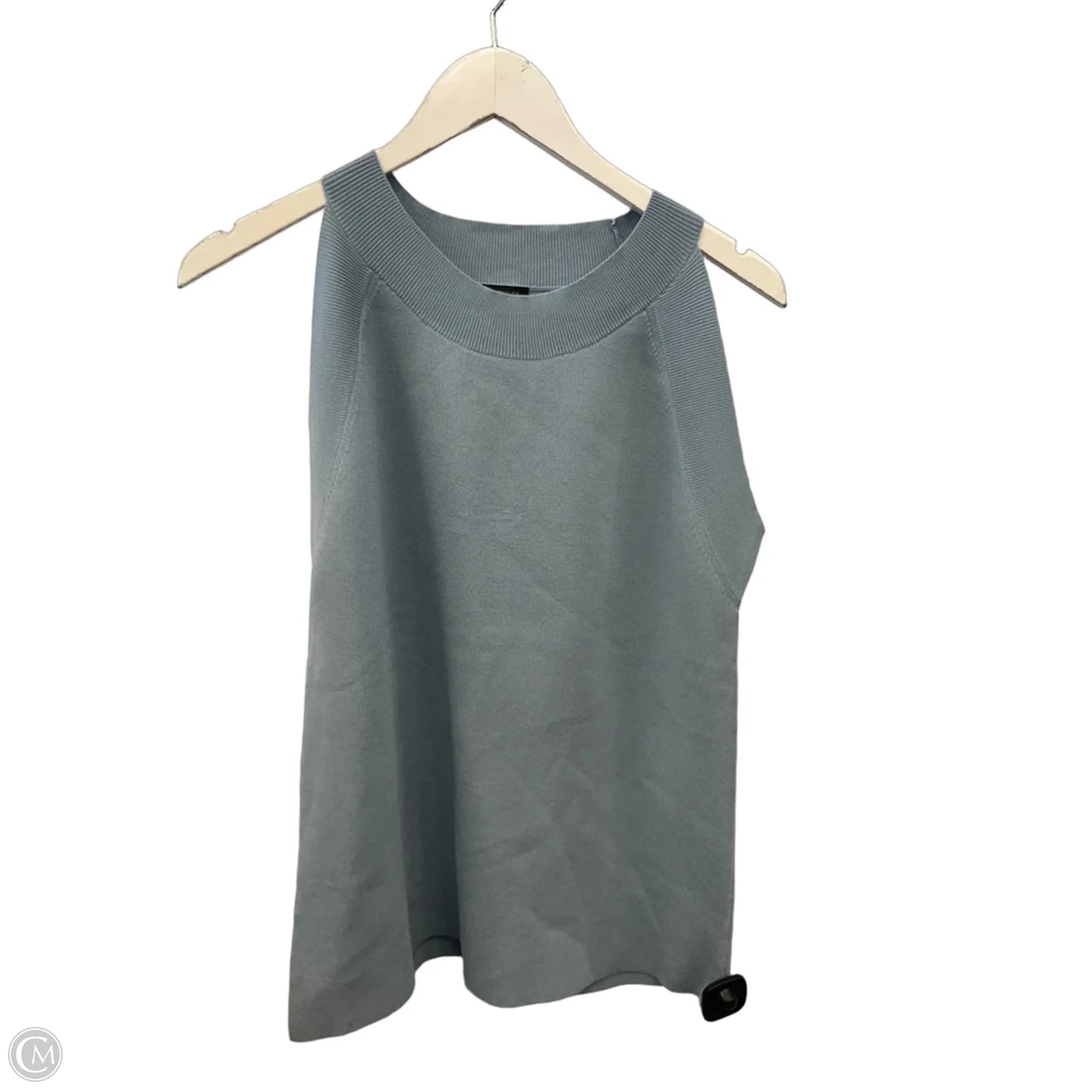 Top Sleeveless By Ann Taylor In Blue, Size: Xxl