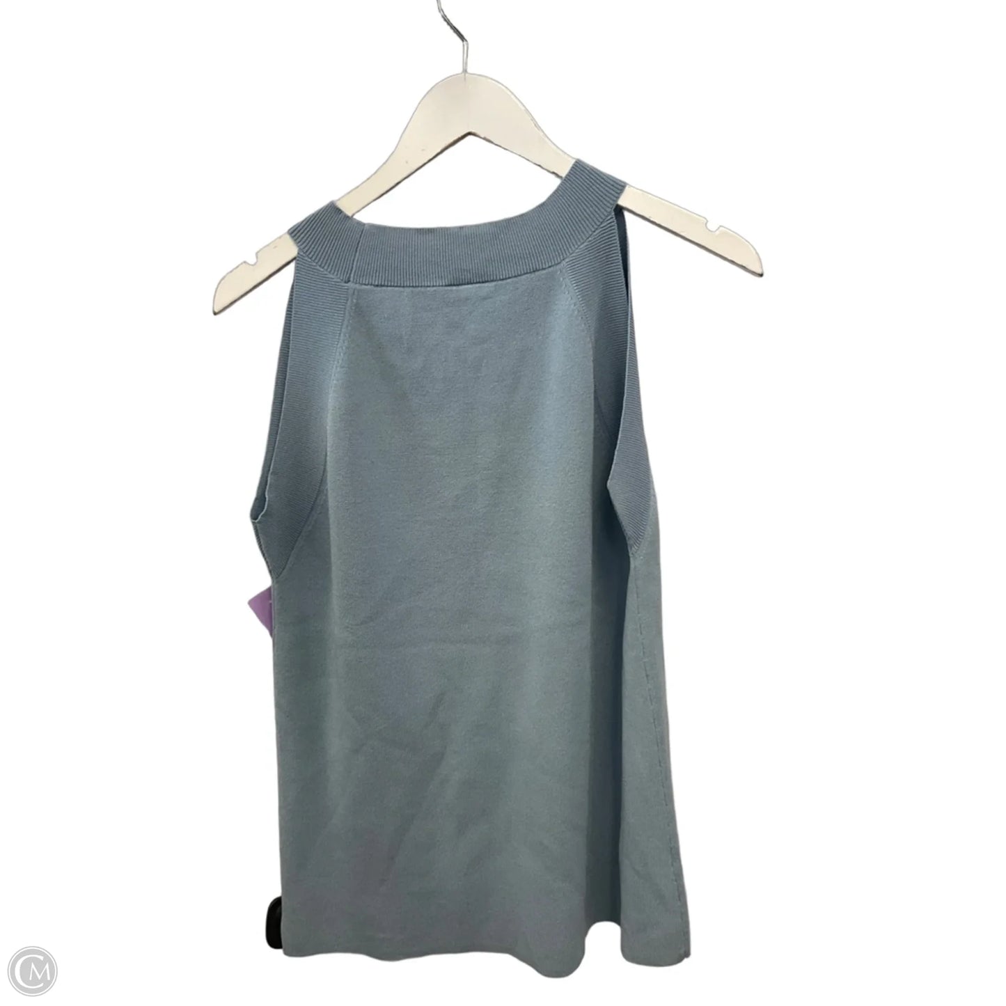 Top Sleeveless By Ann Taylor In Blue, Size: Xxl