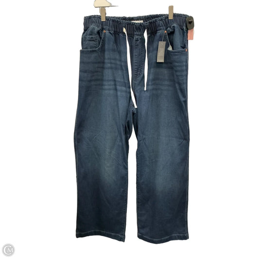 Jeans Straight By Lane Bryant In Blue Denim, Size: 16