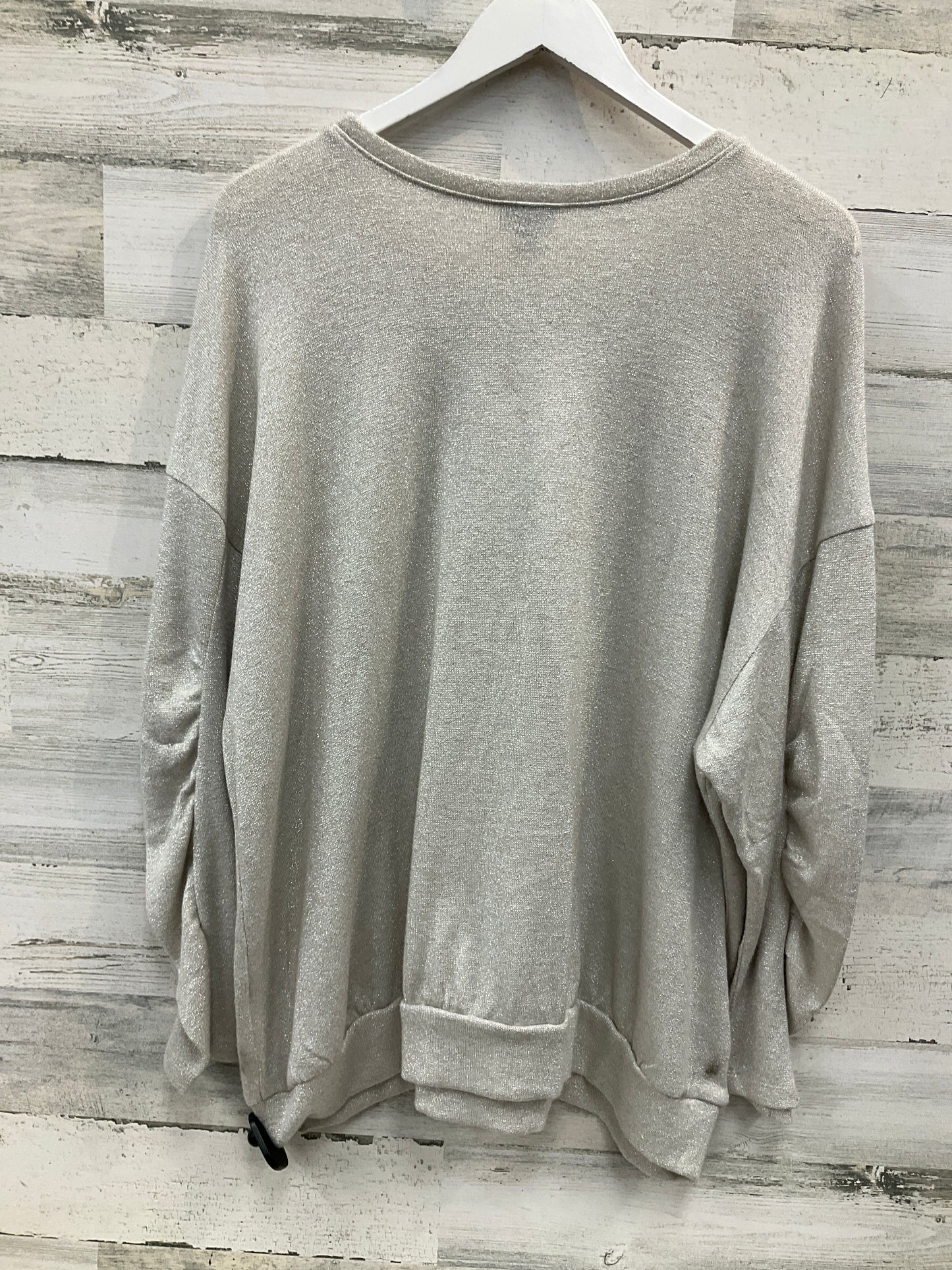 Top Long Sleeve By Torrid In Silver, Size: 3x