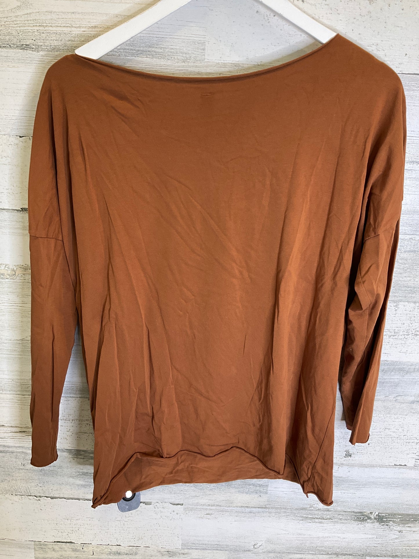 Brown Top Long Sleeve Clothes Mentor, Size L