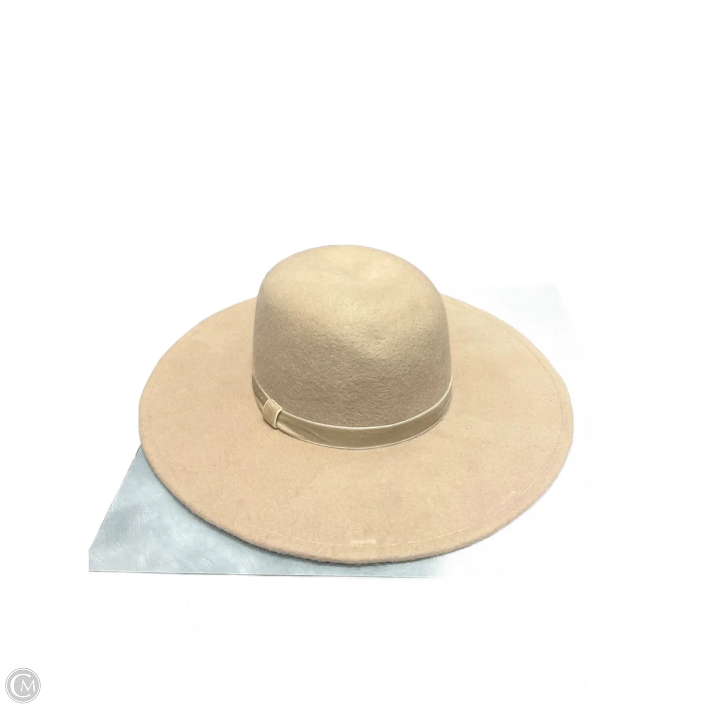 Hat Fedora By A New Day