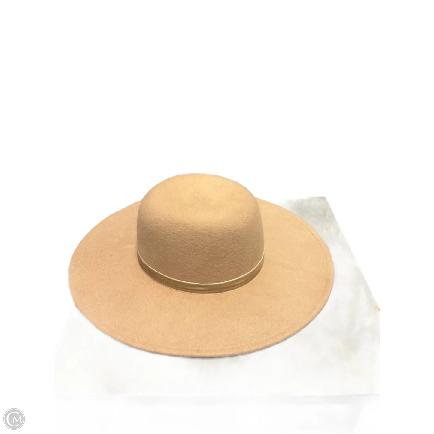 Hat Fedora By A New Day