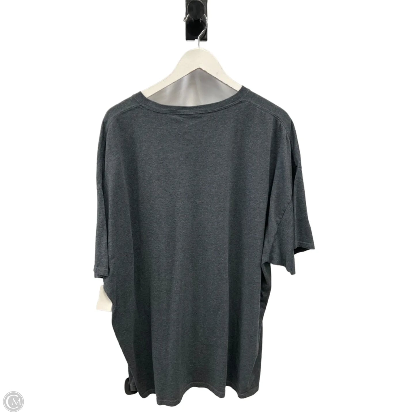 Top Short Sleeve By Fruit Of The Loom In Grey, Size: 3x
