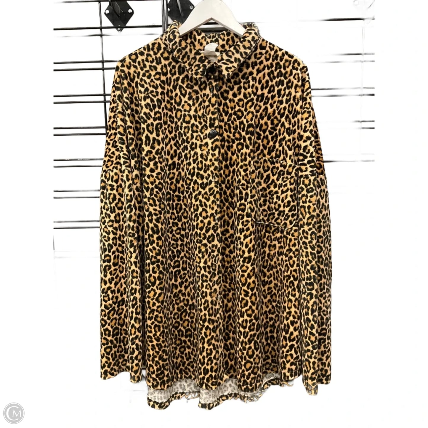 Top Long Sleeve By Blumin In Animal Print, Size: 3x