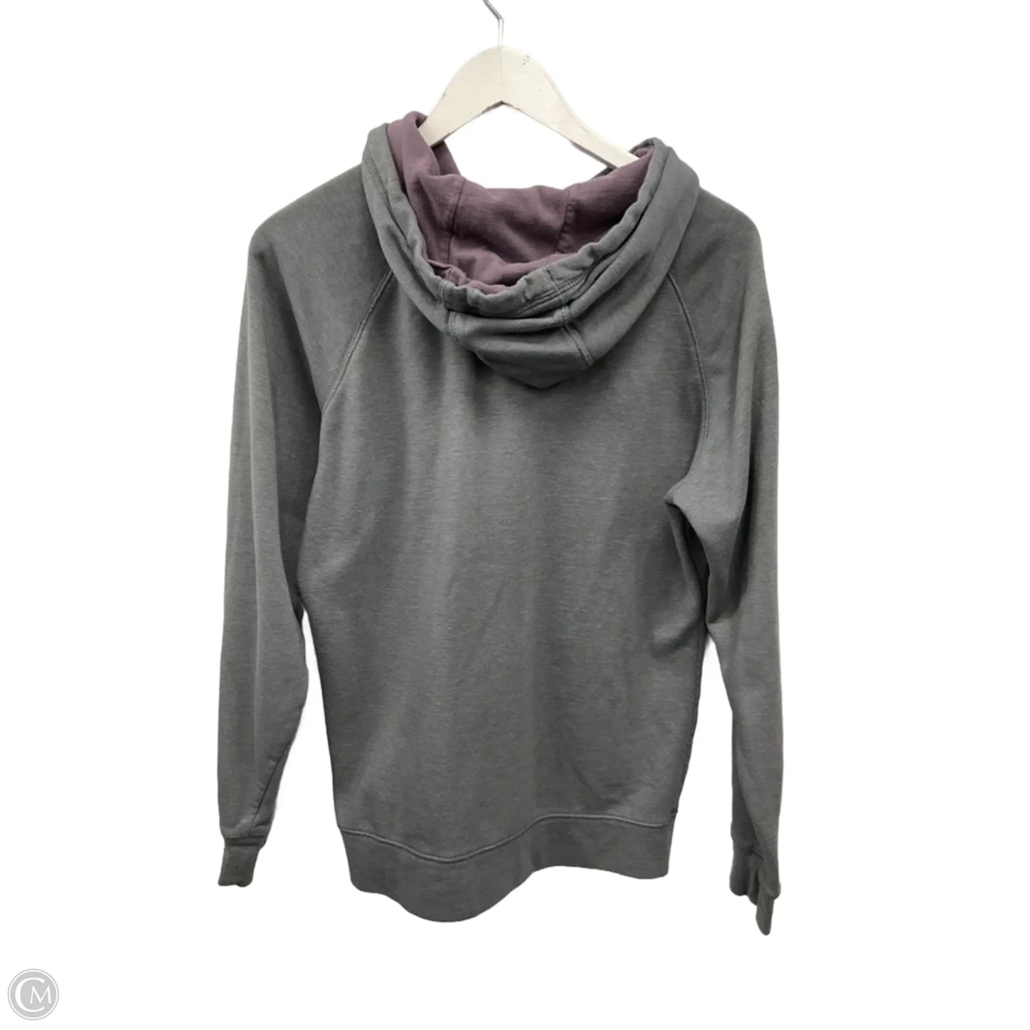 Athletic Sweatshirt Hoodie By The North Face In Grey, Size: Xl