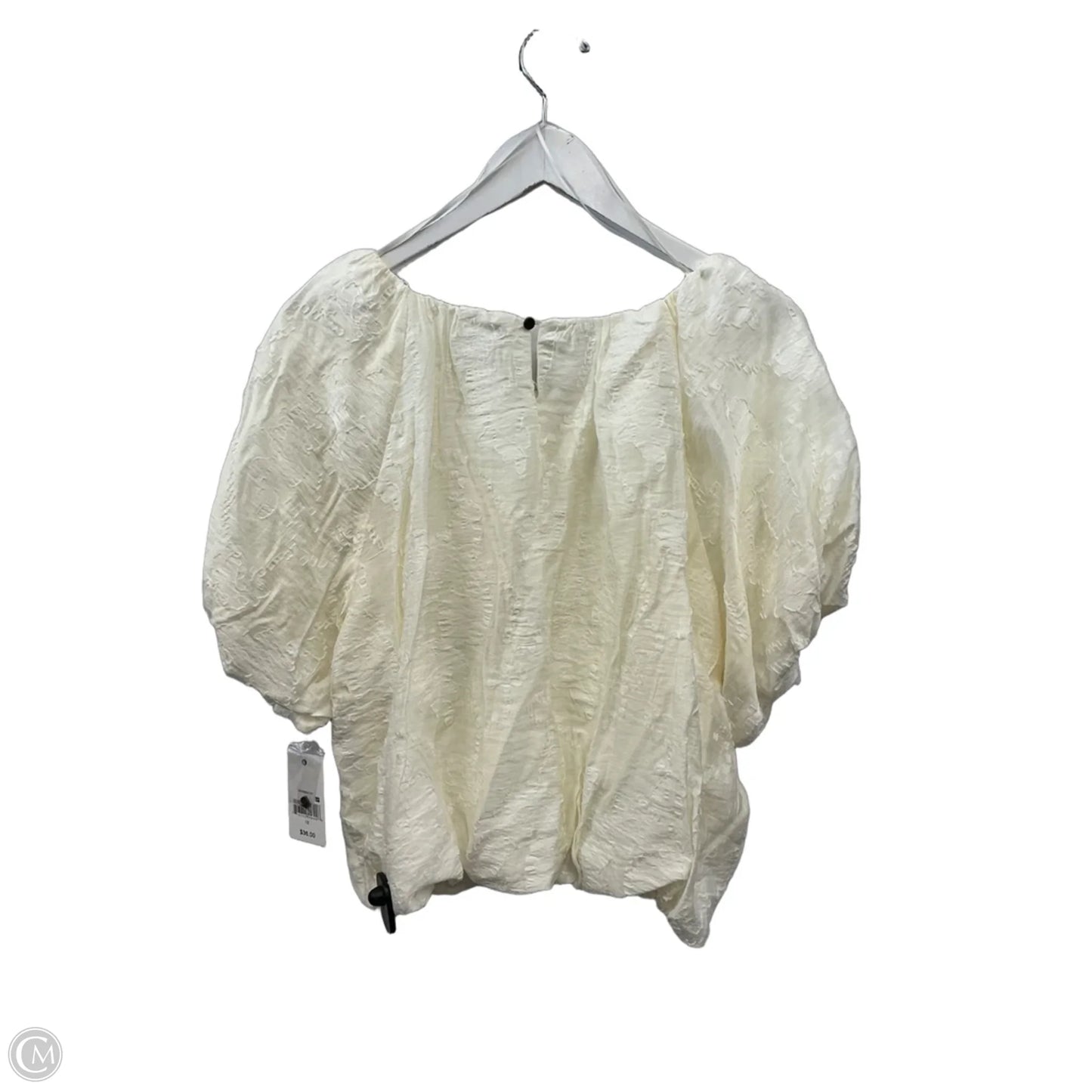 Top Short Sleeve By Ophelia Roe In Cream, Size: 1x
