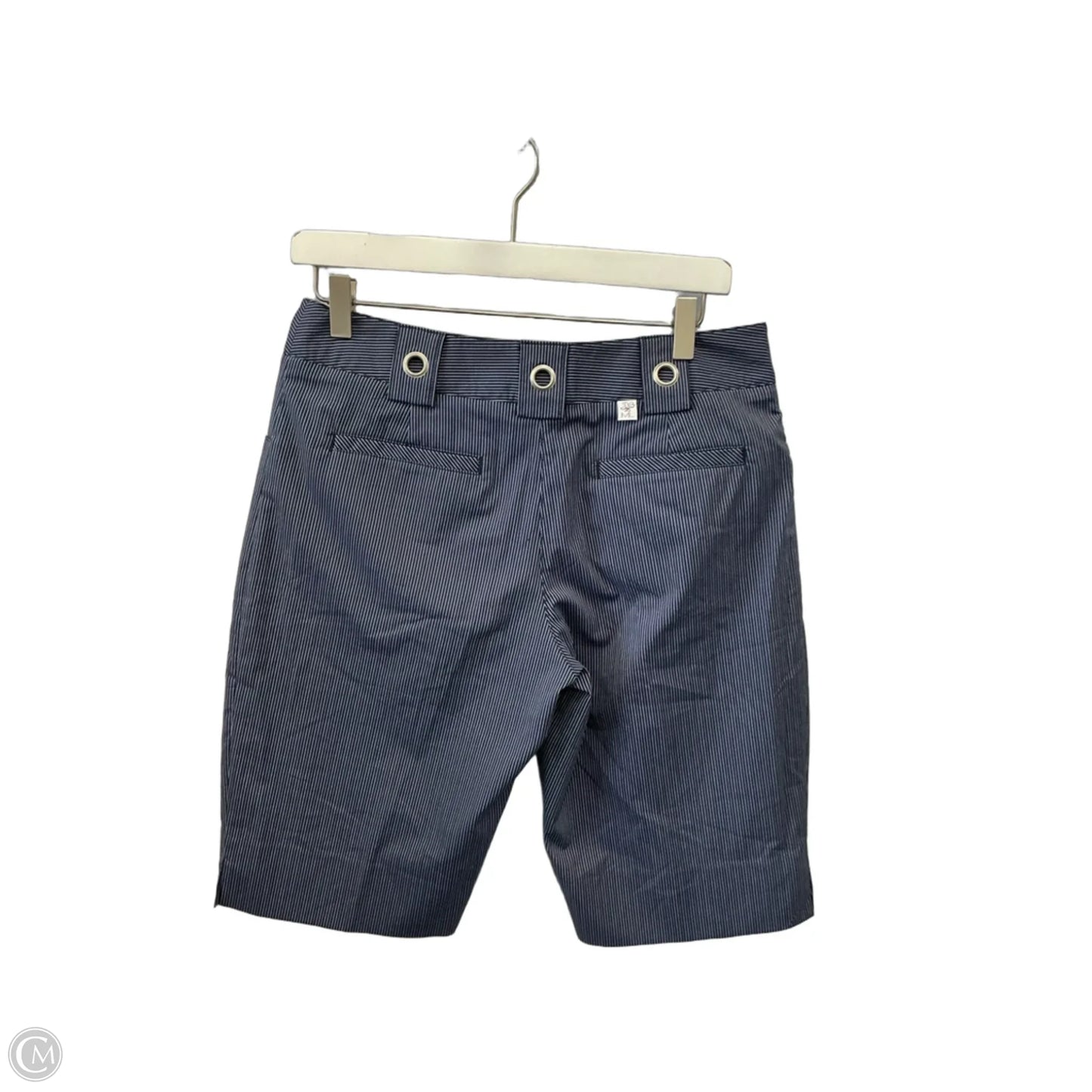 Shorts By Clothes Mentor In Blue, Size: 8