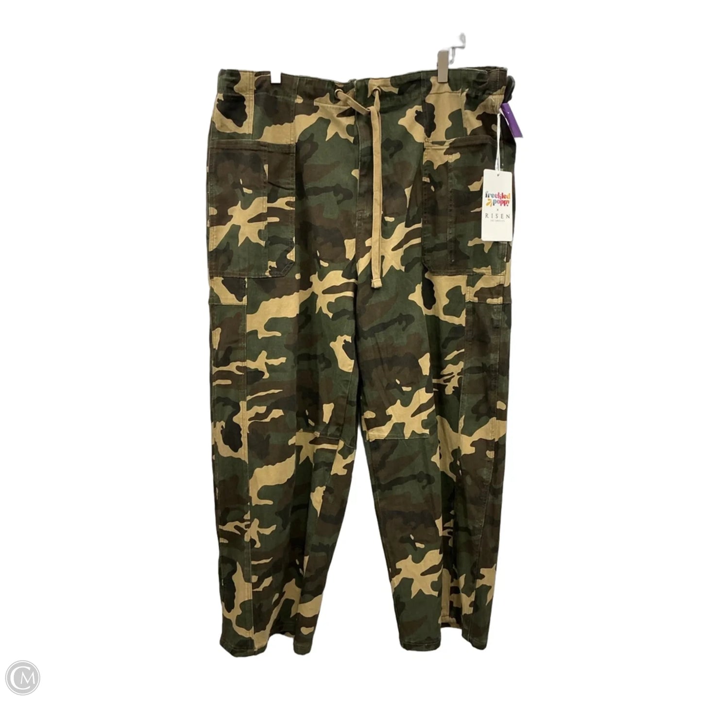 Pants Cargo & Utility By Clothes Mentor In Camouflage Print, Size: 3x