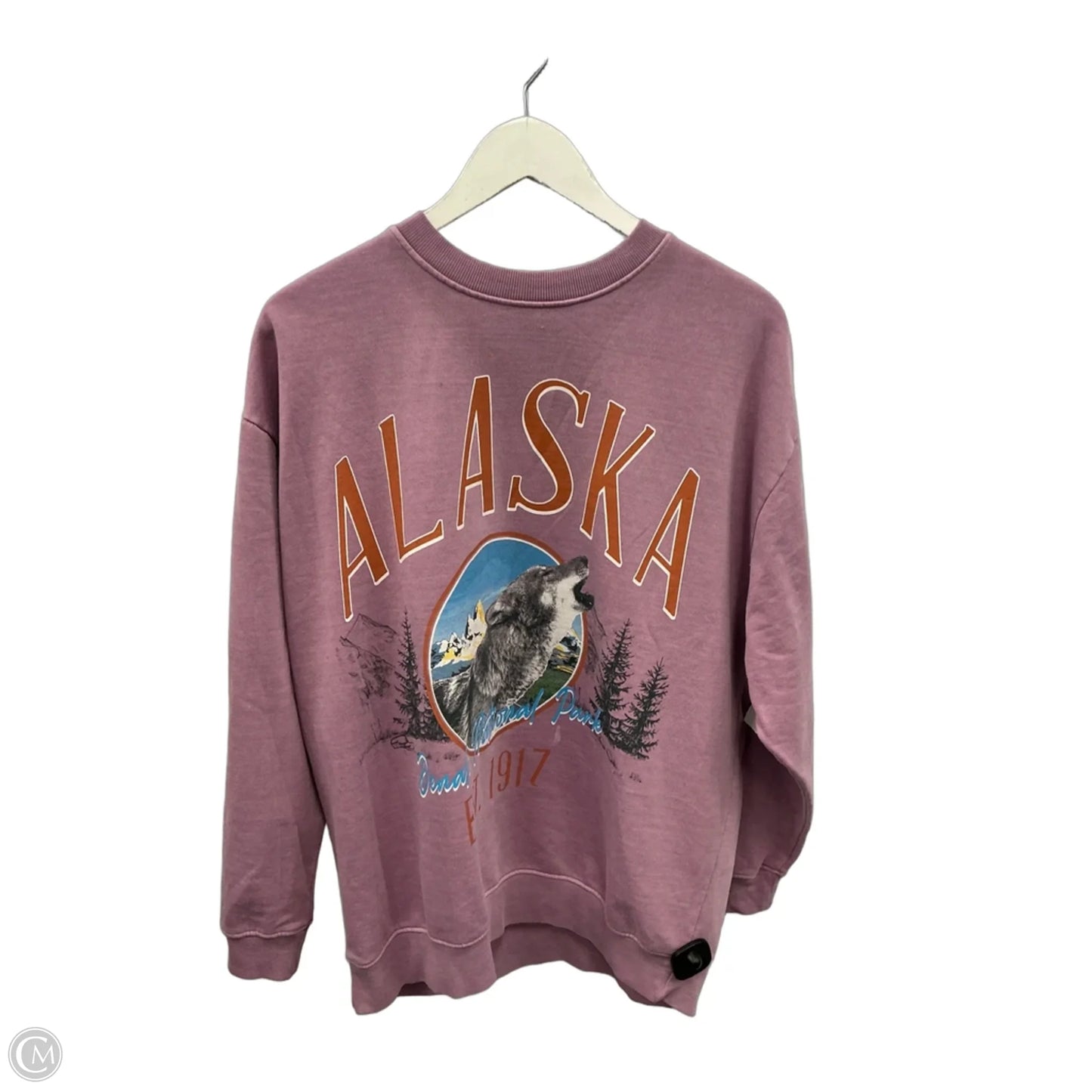 Sweatshirt Crewneck By Forever 21 In Purple, Size: S