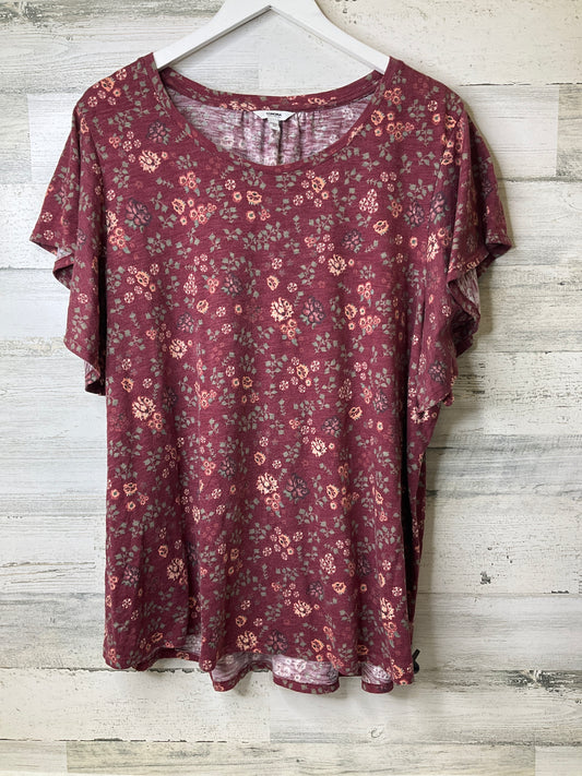 Top Short Sleeve By Sonoma Size: M – Clothes Mentor Mishawaka IN #153